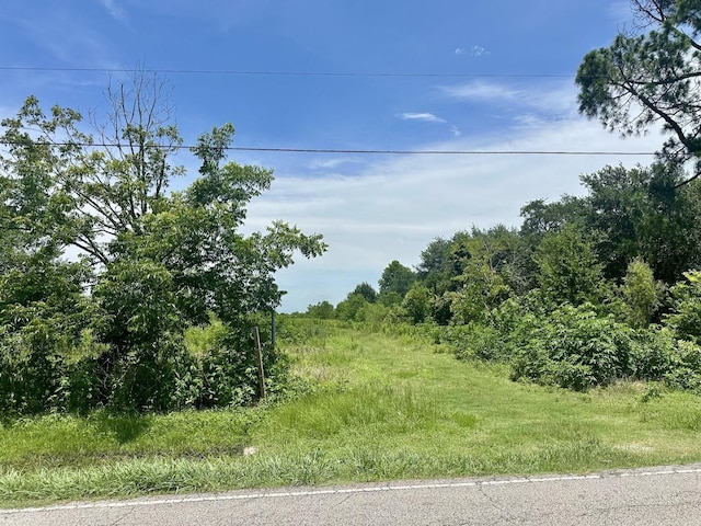 13514 Sralla Rd, Crosby, TX 77532 - photo 3