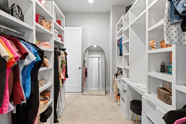1617 Wheeler St Unit C, Houston, TX 77004 - spacious closet featuring light colored carpet