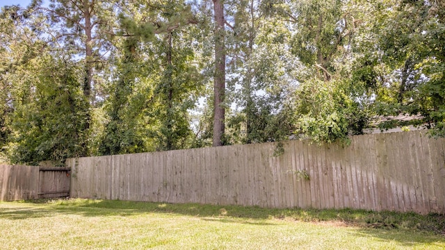 4407 Crosley Field Dr, Spring, TX 77389 - view of fenced backyard