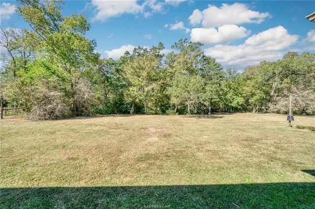 4326 Green Pastures, North Zulch, TX 77872 - photo 25
