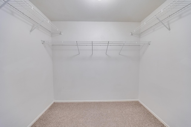 12511 Garden Gale Ln, Houston, TX 77044 - spacious closet with carpet flooring