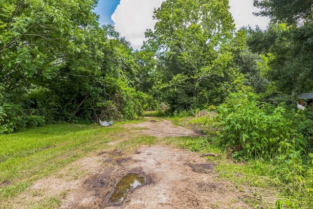 0 County Road 179th St, Alvin, TX 77511