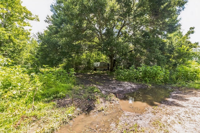 0 County Road 179th St, Alvin, TX 77511