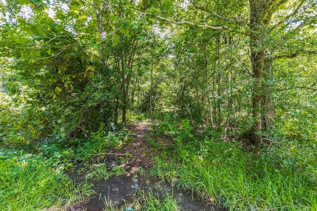 0 County Road 179th St, Alvin, TX 77511