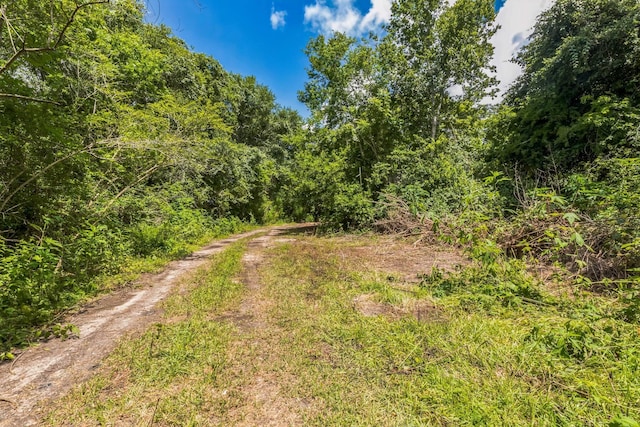 0 County Road 179th St, Alvin, TX 77511