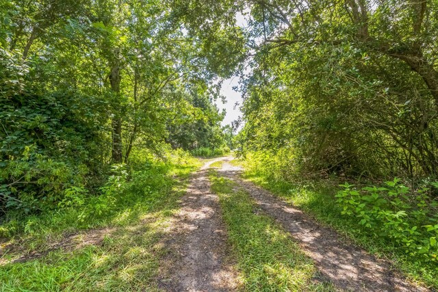 0 County Road 179th St, Alvin, TX 77511