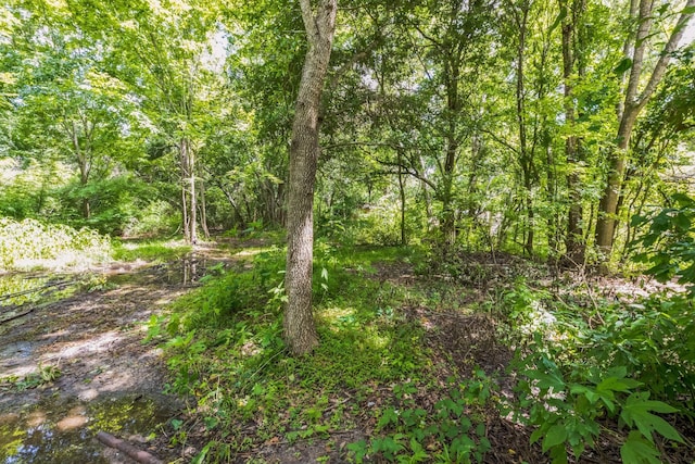 0 County Road 179th St, Alvin, TX 77511