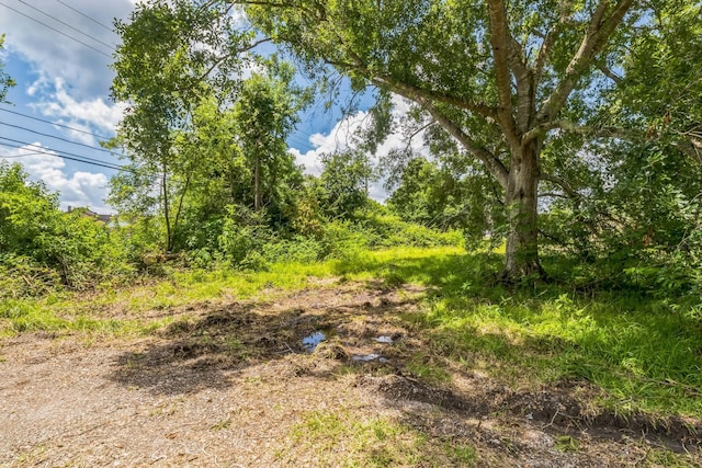 0 County Road 179th St, Alvin, TX 77511