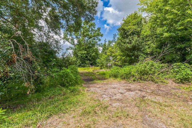 0 County Road 179th St, Alvin, TX 77511