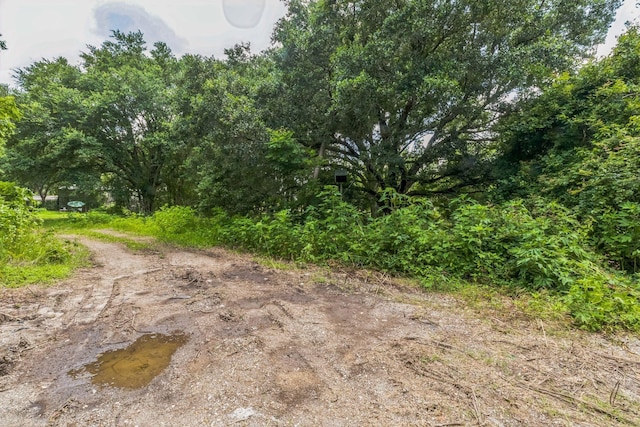 0 County Road 179th St, Alvin, TX 77511