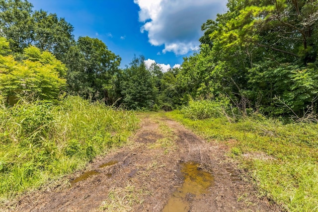 0 County Road 179th St, Alvin, TX 77511