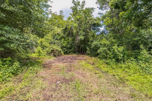 0 County Road 179th St, Alvin, TX 77511