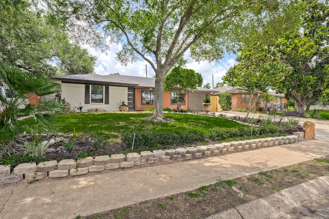5425 Viking Dr, Houston, TX 77092 - view of front of house with a front lawn