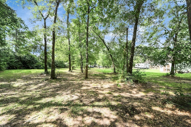 15755 Northland Dr, Porter, TX 77365
