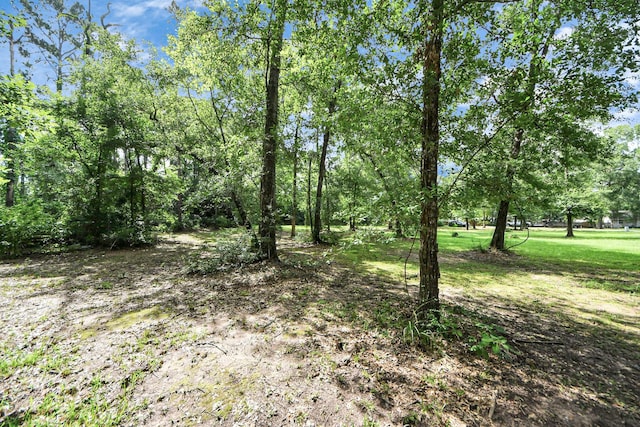 15755 Northland Dr, Porter, TX 77365