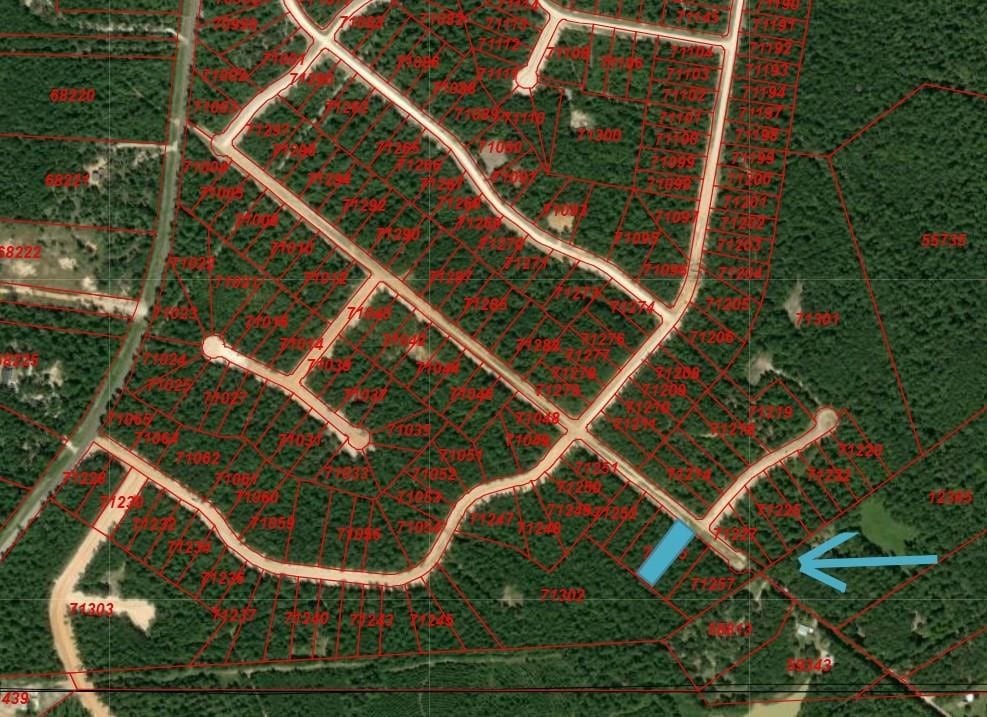 104 Coyote Run, Willis, TX 77378 - photo 2