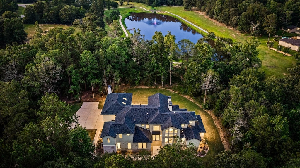 23560 High Meadow Estates Dr, Montgomery, TX 77316 - view of property location featuring a large body of water and a heavily wooded area