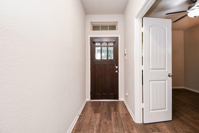 18534 Ariat Dr, Cypress, TX 77429 - entrance foyer with dark wood finished floors and a ceiling fan