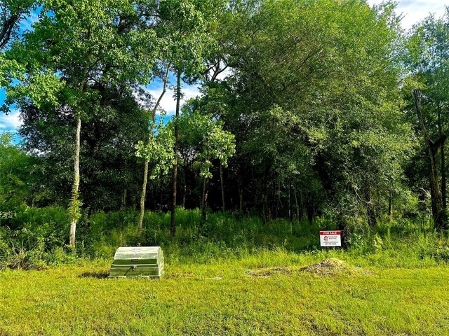 590 Rd 6609, Dayton, TX 77535 - photo 2