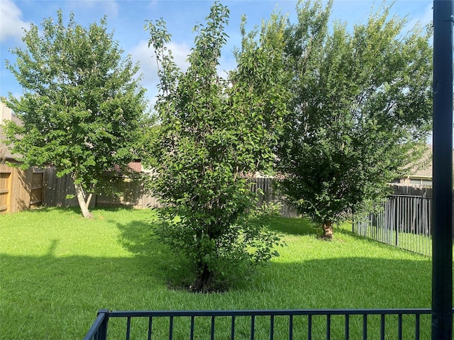 8615 Debbie Terrace Dr, Cypress, TX 77433 - view of fenced backyard
