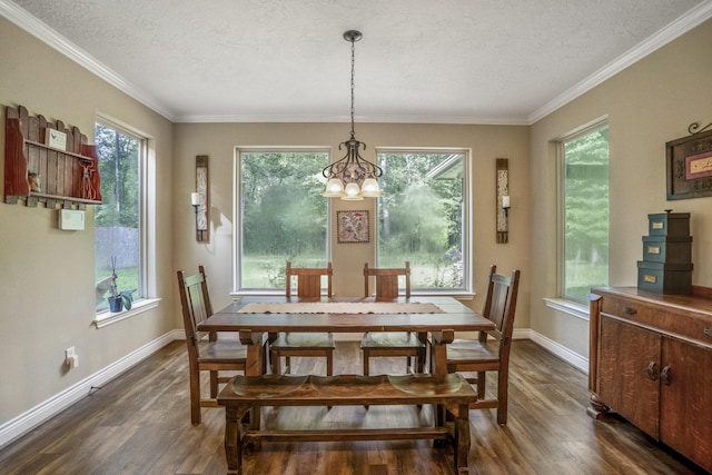 10741 Fm 2432nd Rd, Conroe, TX 77303 - photo 15