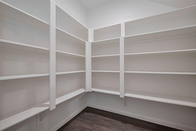 27097 Kestrel Trl, Magnolia, TX 77354 - view of pantry