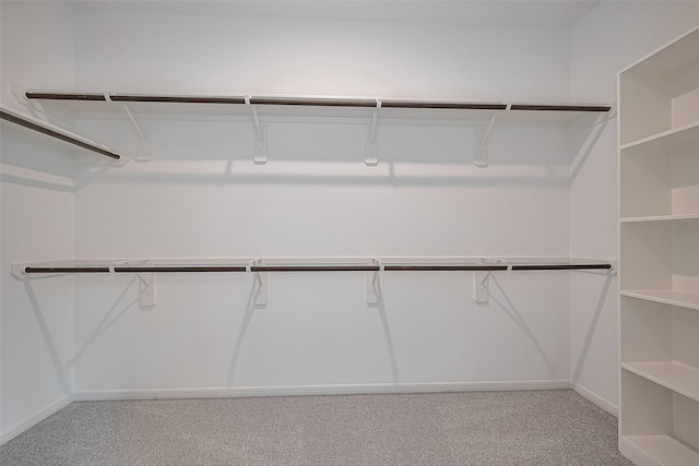 27097 Kestrel Trl, Magnolia, TX 77354 - spacious closet featuring light colored carpet