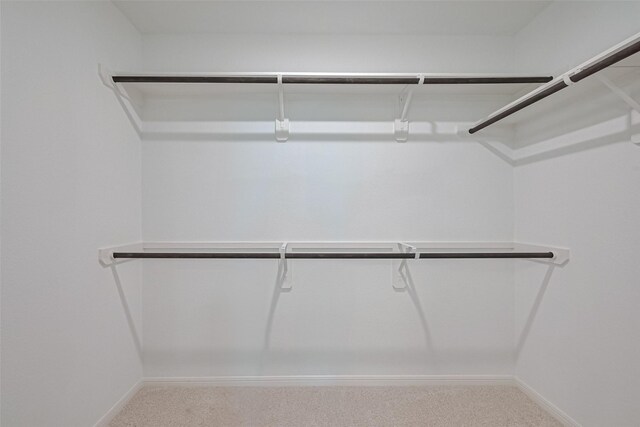2204 Port Jackson, Texas City, TX 77568 - walk in closet featuring carpet floors