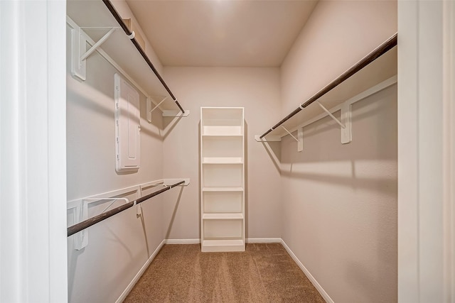 2127 Port Jackson, Texas City, TX 77568 - walk in closet featuring carpet