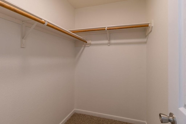 4310 Peppermint Hill Ln, Richmond, TX 77469 - walk in closet with carpet flooring