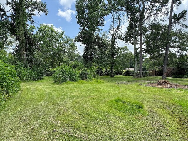 1102 Big Deer Dr, Crosby, TX 77532 - photo 20