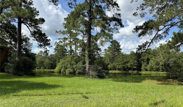 00 Lakeview Dr, Hockley, TX 77447 - photo 13