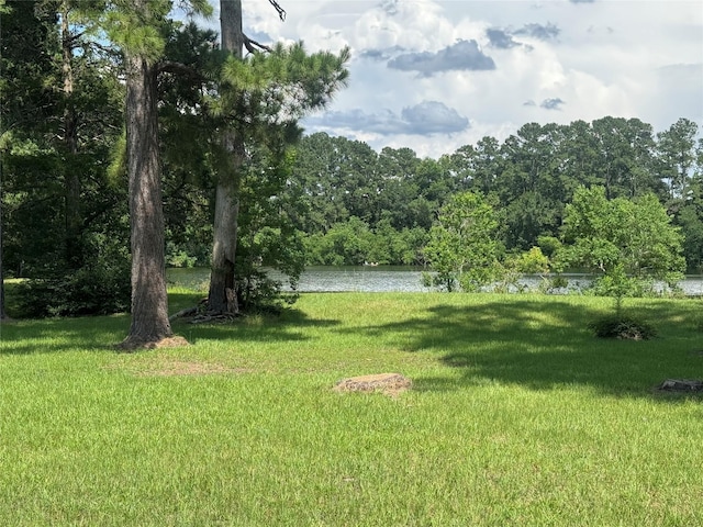 00 Lakeview Dr, Hockley, TX 77447 - photo 15