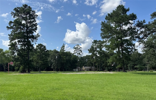 00 Lakeview Dr, Hockley, TX 77447 - photo 9