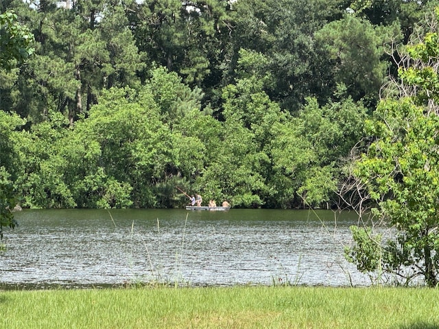 00 Lakeview Dr, Hockley, TX 77447 - photo 16