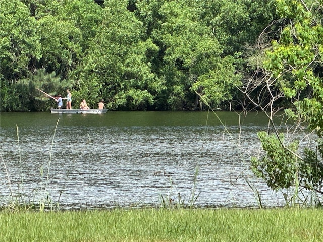 00 Lakeview Dr, Hockley, TX 77447 - photo 17
