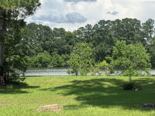 00 Lakeview Dr, Hockley, TX 77447 - photo 18