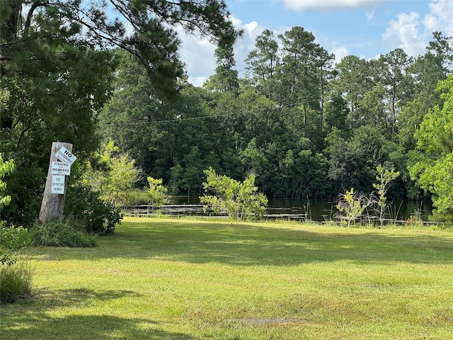 00 Lakeview Dr, Hockley, TX 77447 - photo 19