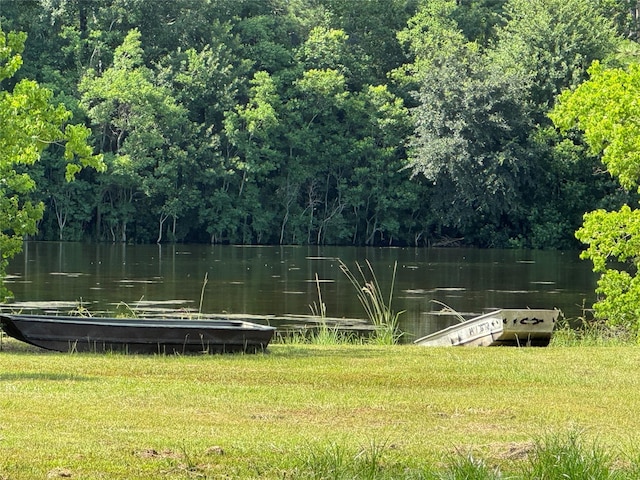 00 Lakeview Dr, Hockley, TX 77447 - photo 2