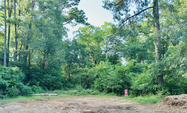 00 Lakeview Dr, Hockley, TX 77447 - photo 4