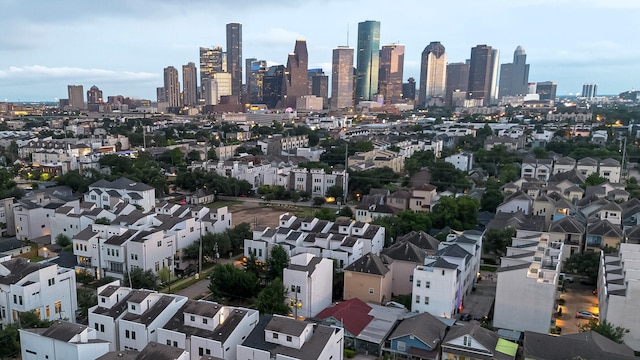 2205 Colorado St, Houston, TX 77007 - skyline view