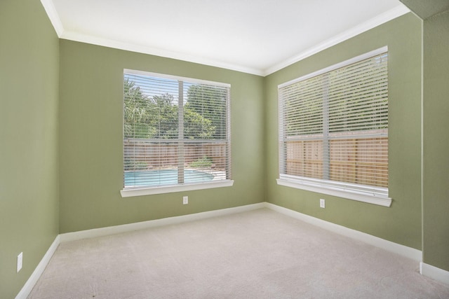 4619 Jade Green Ct, Houston, TX 77059 - spare room featuring crown molding, healthy amount of natural light, and carpet flooring