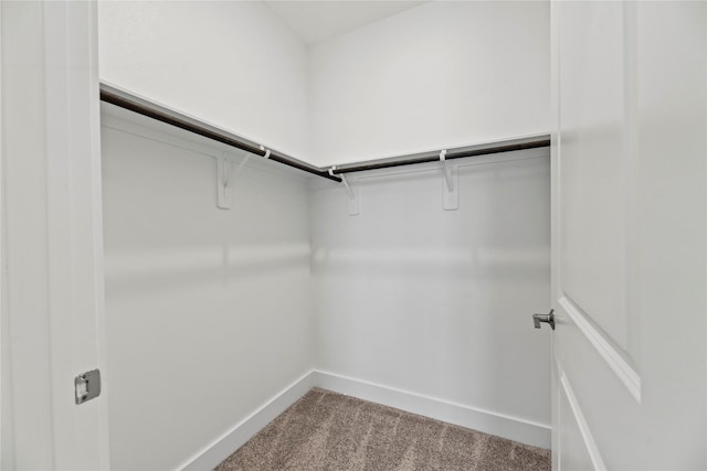 9418 Whispering Bald Cypress Ct, Cypress, TX 77433 - walk in closet with carpet flooring