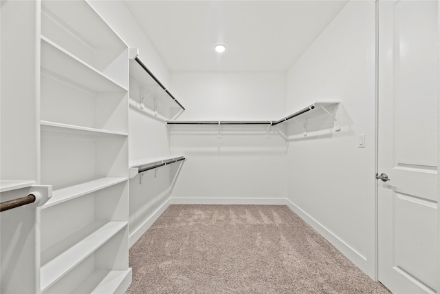 9418 Whispering Bald Cypress Ct, Cypress, TX 77433 - walk in closet with carpet flooring