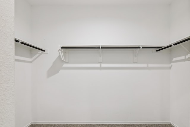 22431 Gilded Peak Ln, Spring, TX 77373 - walk in closet featuring carpet