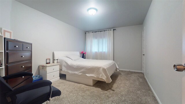 2543 Shelly Lang Ct, Missouri City, TX 77459 - photo 14