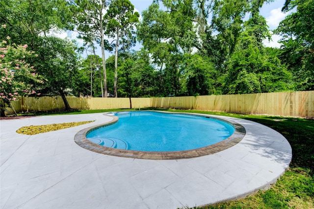 1904 Nursery Rd, The Woodlands, TX 77380 - view of swimming pool with a fenced backyard, a patio, and view of wooded area
