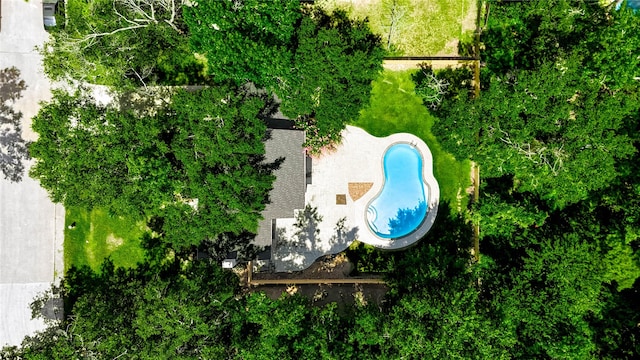 1904 Nursery Rd, The Woodlands, TX 77380 - bird's eye view of a pool and a tree filled landscape
