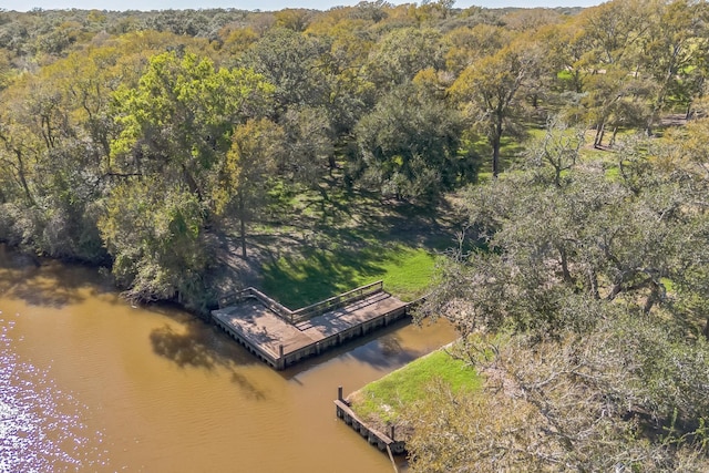 48 River Tree Dr, Blessing, TX 77419