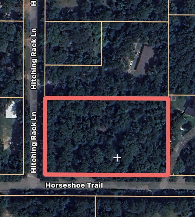 28002 Hitching Rack Ln, Magnolia, TX 77355 - photo 2